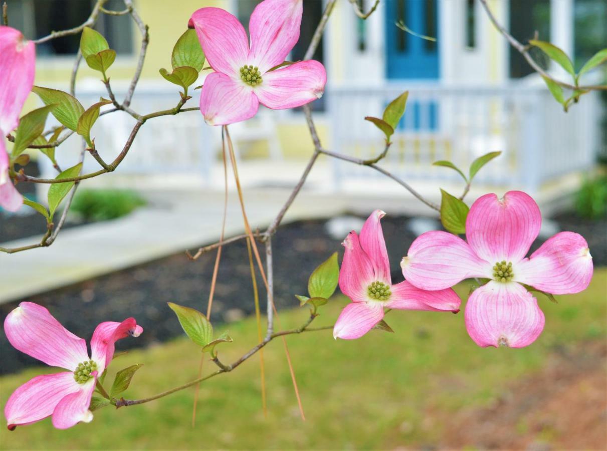 Meris Gardens B&B Бетани-Бич Экстерьер фото