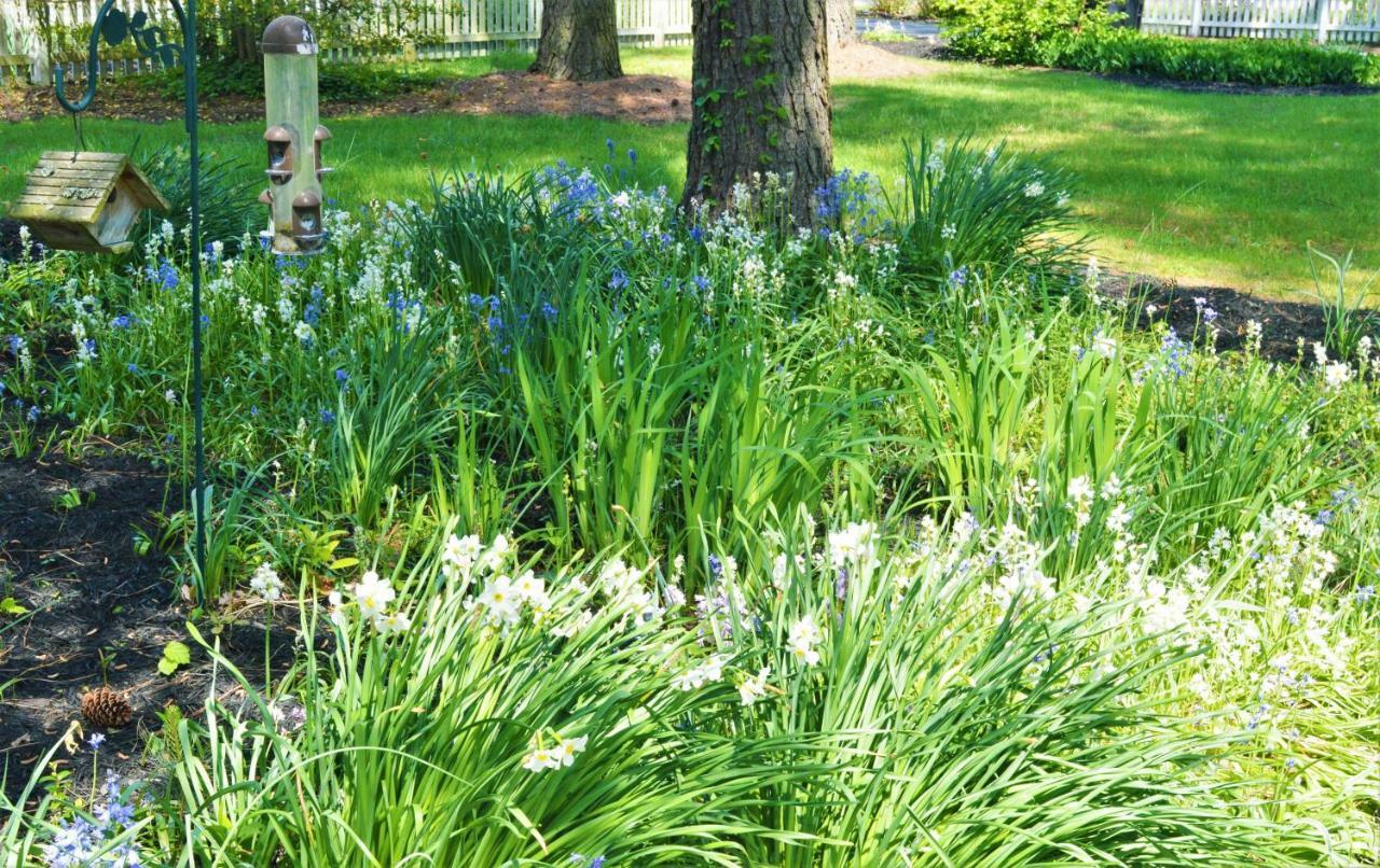 Meris Gardens B&B Бетани-Бич Экстерьер фото